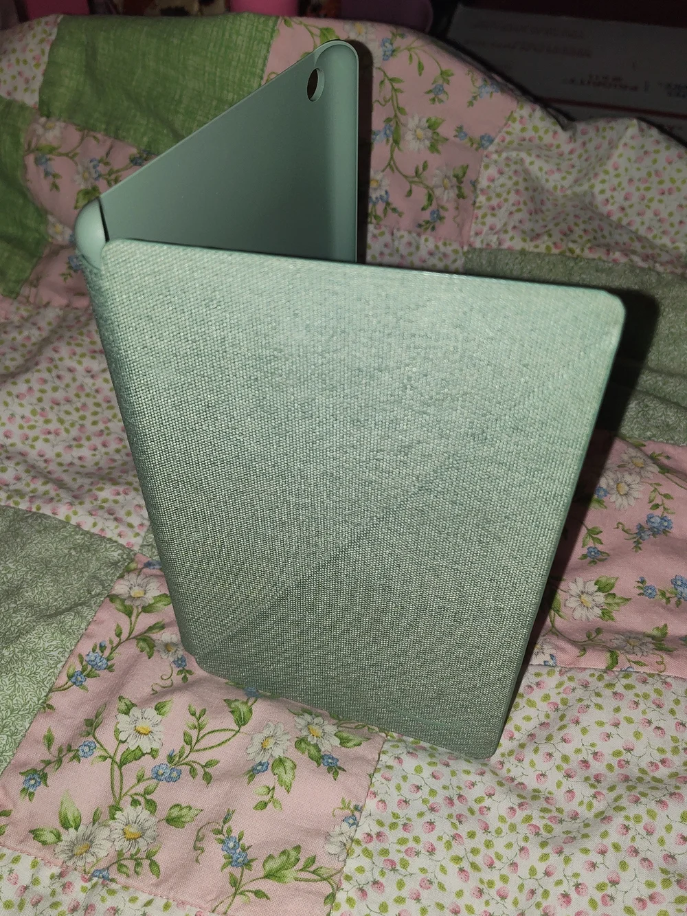 Amazon Kindle Fabric Cover in Sage Green